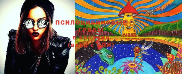 альфа пвп Няндома
